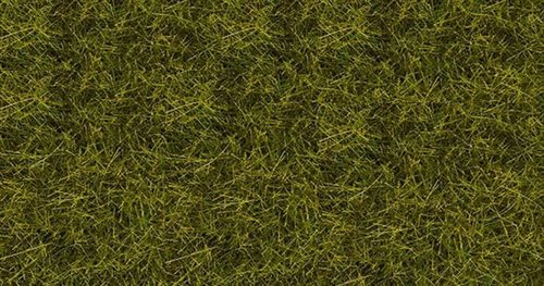 Noch 07090 Vild græs, Eng, 6 mm, 100 gr beholder 