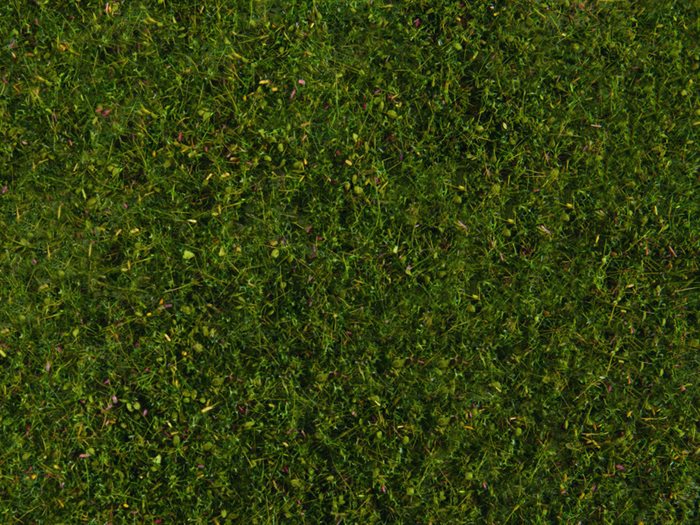 Noch 07291 Engløv, mellem grøn, 20 x 23 cm