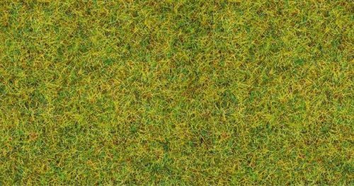 Noch 08151 Strøgræs, sommer, 2,5 mm, 120 gr beholder 