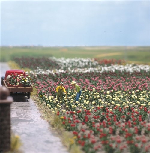 Busch 1205 Byggesæt med 120 roser, H0, 0