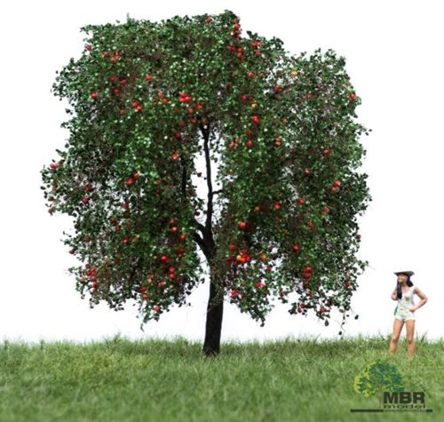 mbr 51-2404 Æbletræ, 12-16 cm, sommer