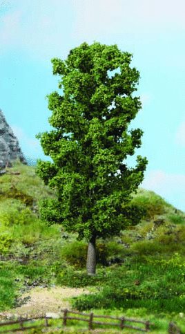 Heki 1981 bøgetræ, 20 cm