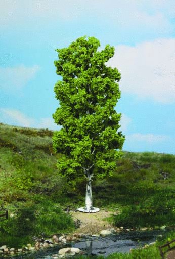Heki 1984 birketræ, 20 cm