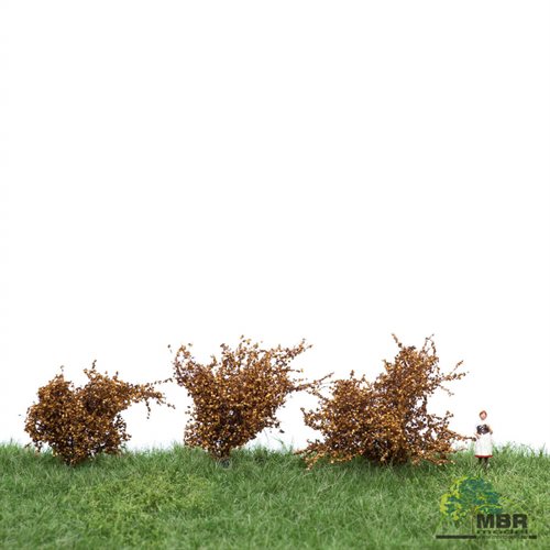 mbr 50-3005 Små buske, 3 stk, 4-6 cm, efterår, NYHED 2020