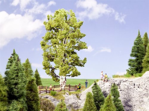 Noch 21641 Dobbeltstammet birketræ 19 cm højt, H0 