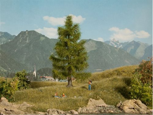 Noch 21816 Grantræer, 14,5 cm høje, H0, TT, N