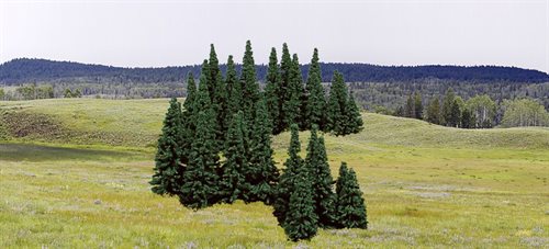 Heki 2191 100 træer med indstiksfødder, 5-7 cm