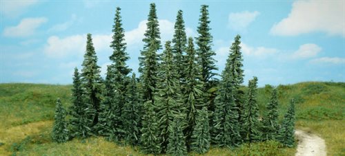 Heki 2230 100 grantræer, 5-7 cm