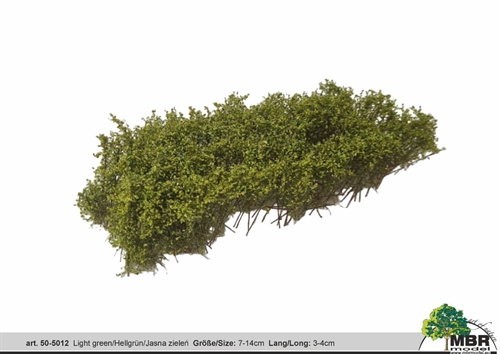 MBR 50-5012 Busk, lys grøn