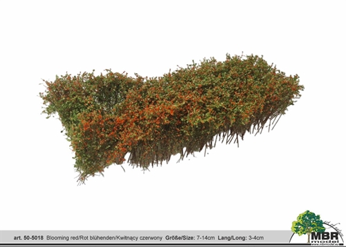 MBR 50-5018 Busk, Blomstrende rød