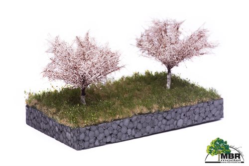 mbr 51-2315 Blomstrende æbletræer, 2 stk, 6-10 cm, forår, NYHED 2021