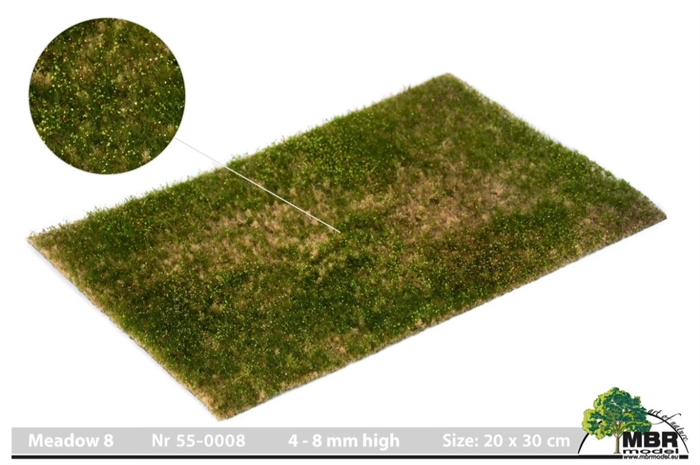 MBR 55-0008 Græsmåtte, Eng, 4-8 mm, str 20 x 30 cm