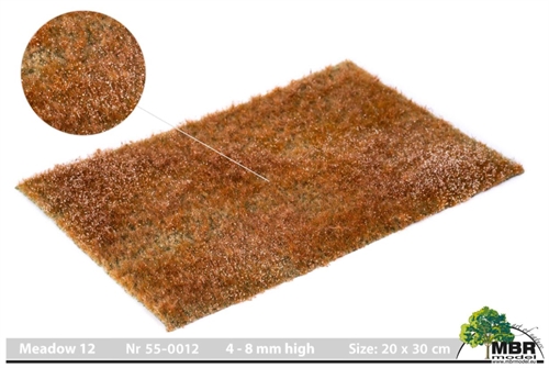 MBR 55-0012 Græsmåtte, Eng, 4-8 mm, str 20 x 30 cm