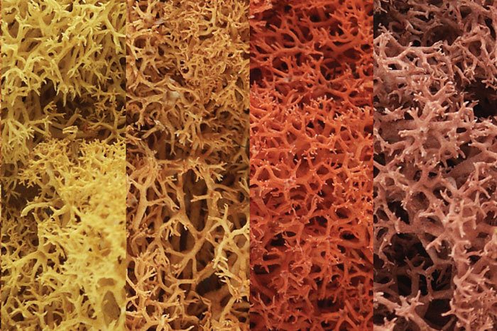 Woodland Scenics L165 Mos, Efterårsmix, lille pose 