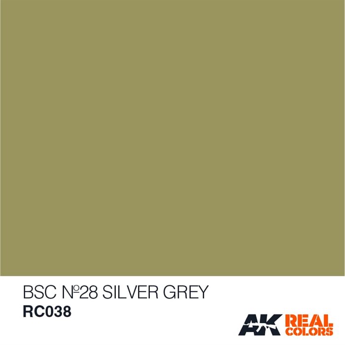 AKRC038 BSC Nº28 Sølv grå 10 ML