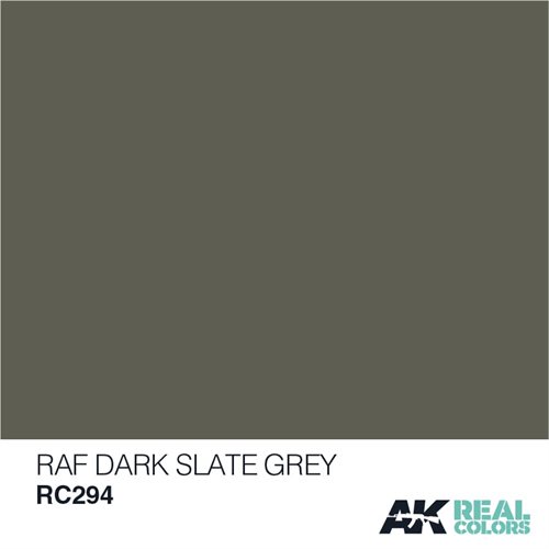 AKRC294 RAF Mørk skifer grå 10ML