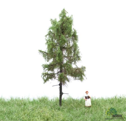 mbr 51-4202 Skov lærk, 12-16 cm