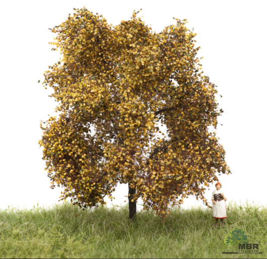 mbr 52-2103 Eg, 6-10 cm, efterår