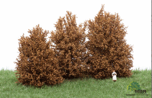 mbr 50-4006 Høje buske, tør, 10-12 cm, NYHED 2020