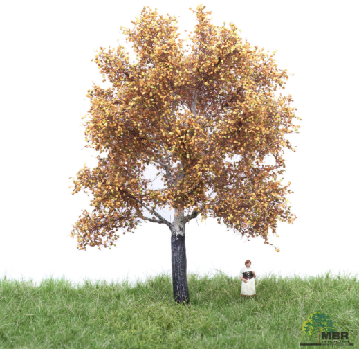 mbr 52-2205 Hvid poppel, 12-16 cm, efterår