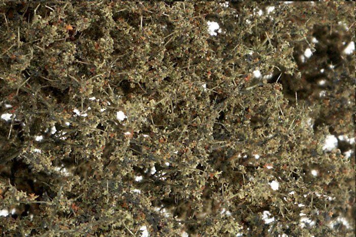 Woodland Scenics F 1134 Fint løv, Vissen grøn